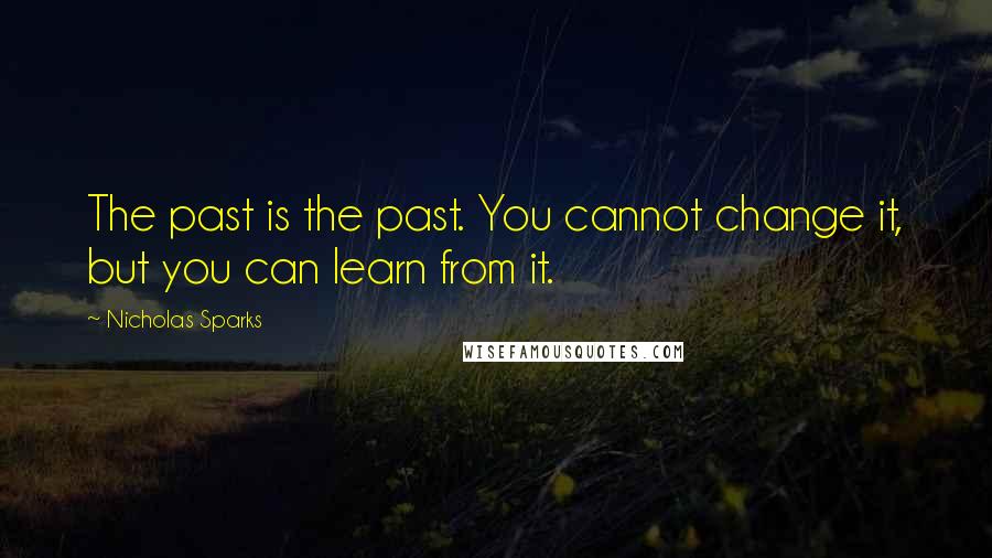 Nicholas Sparks Quotes: The past is the past. You cannot change it, but you can learn from it.