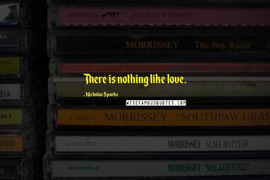 Nicholas Sparks Quotes: There is nothing like love.