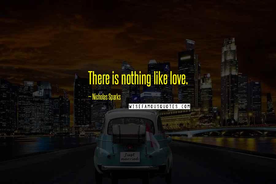 Nicholas Sparks Quotes: There is nothing like love.