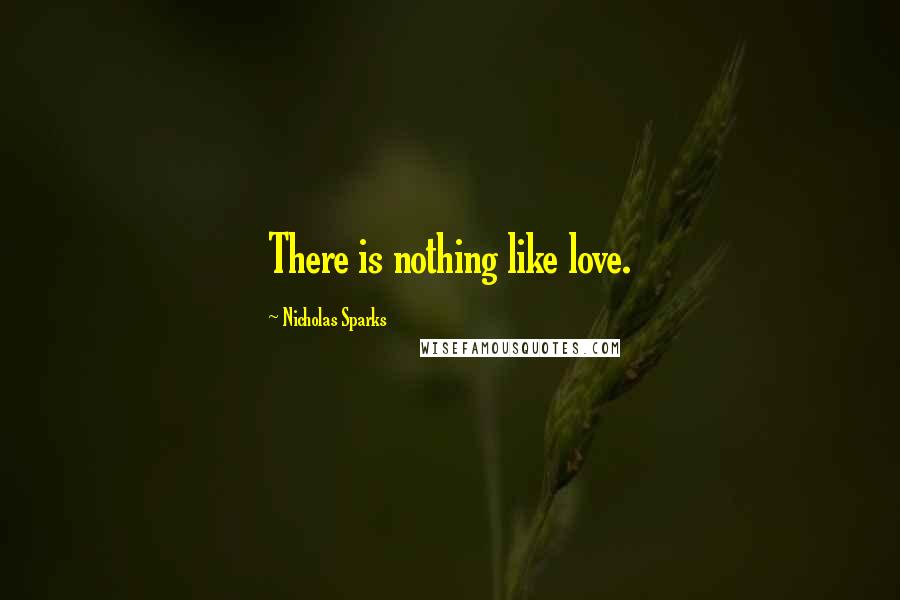 Nicholas Sparks Quotes: There is nothing like love.