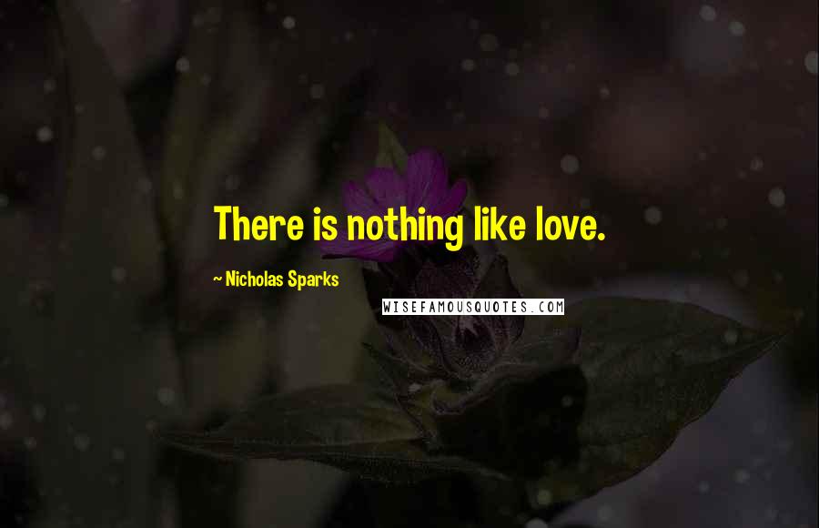 Nicholas Sparks Quotes: There is nothing like love.