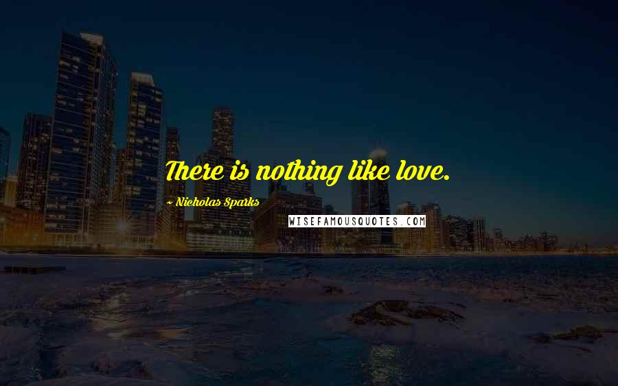 Nicholas Sparks Quotes: There is nothing like love.