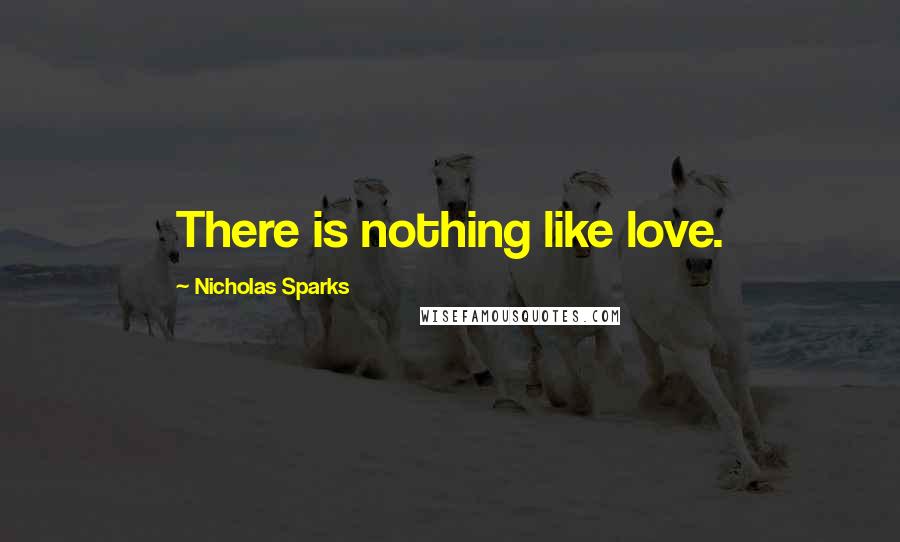 Nicholas Sparks Quotes: There is nothing like love.