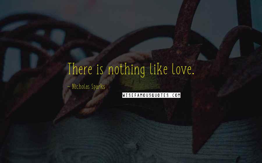 Nicholas Sparks Quotes: There is nothing like love.