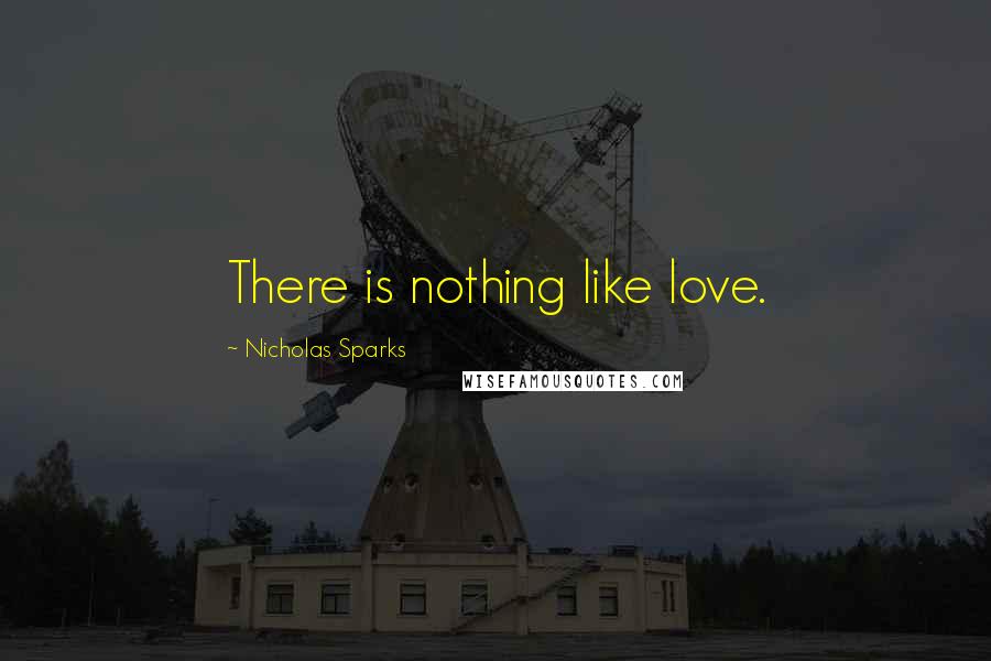 Nicholas Sparks Quotes: There is nothing like love.