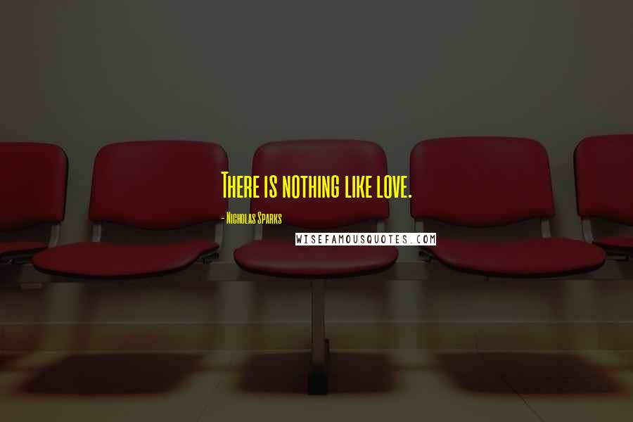 Nicholas Sparks Quotes: There is nothing like love.