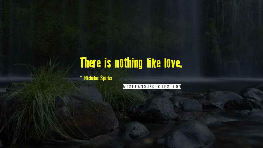 Nicholas Sparks Quotes: There is nothing like love.