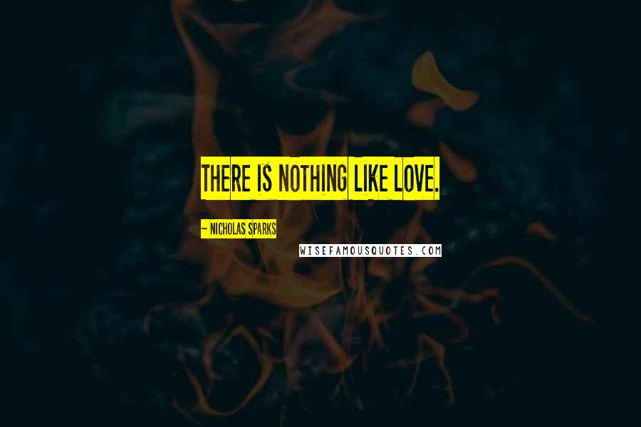 Nicholas Sparks Quotes: There is nothing like love.