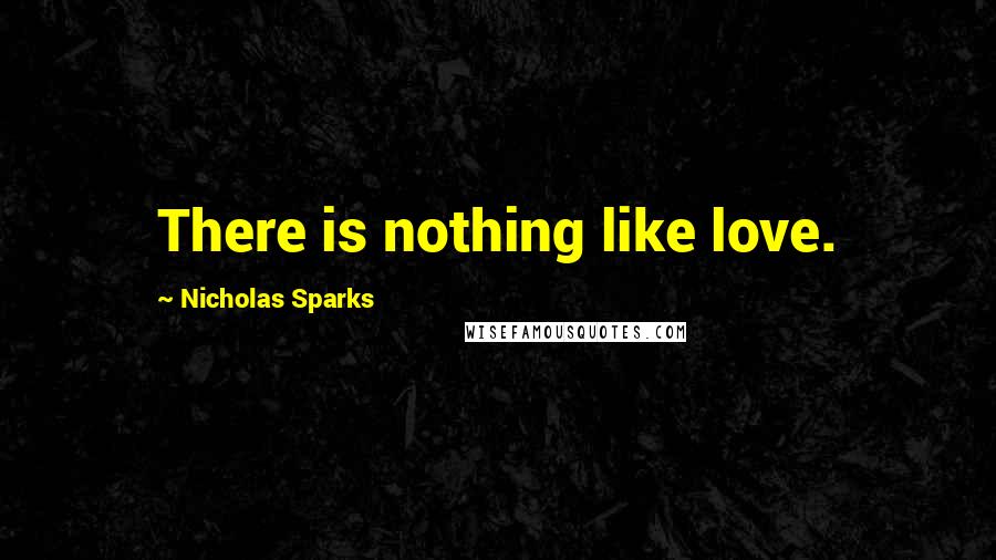 Nicholas Sparks Quotes: There is nothing like love.