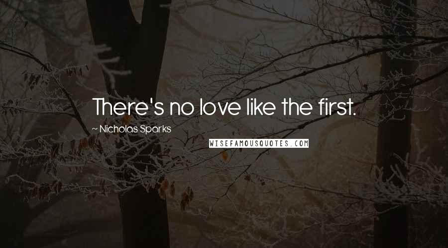 Nicholas Sparks Quotes: There's no love like the first.