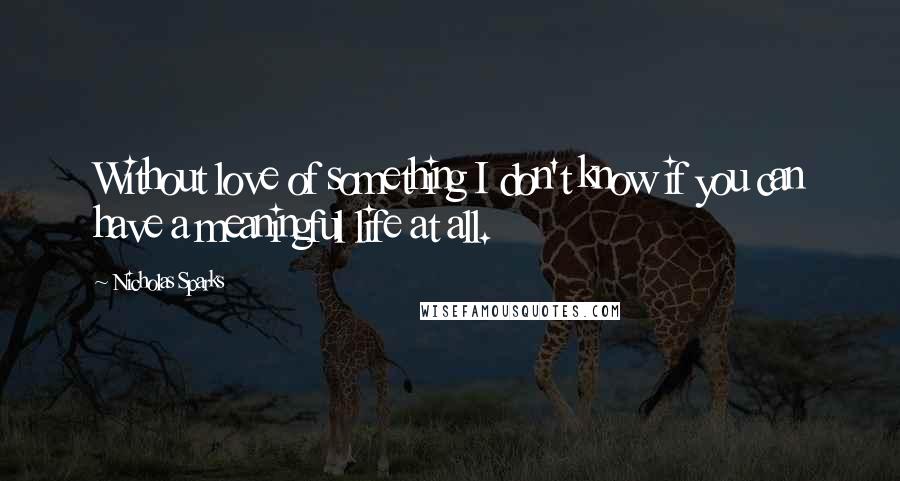 Nicholas Sparks Quotes: Without love of something I don't know if you can have a meaningful life at all.