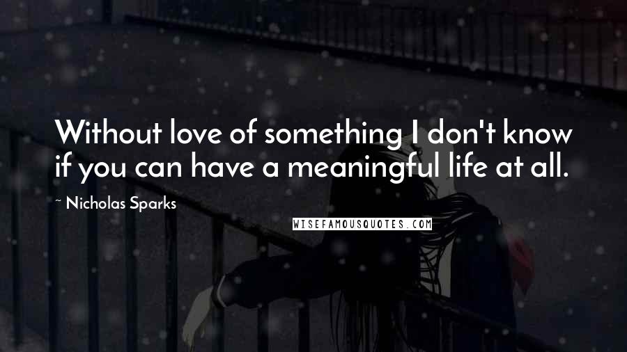 Nicholas Sparks Quotes: Without love of something I don't know if you can have a meaningful life at all.