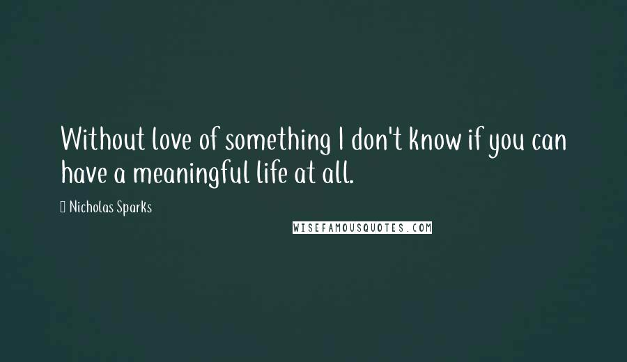 Nicholas Sparks Quotes: Without love of something I don't know if you can have a meaningful life at all.