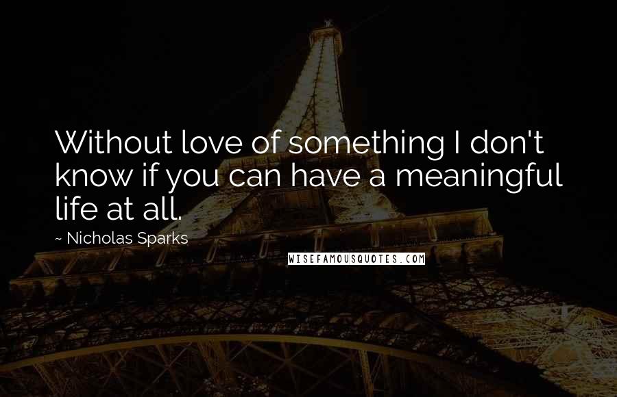 Nicholas Sparks Quotes: Without love of something I don't know if you can have a meaningful life at all.