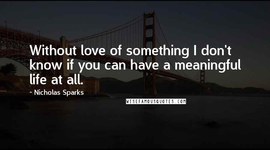 Nicholas Sparks Quotes: Without love of something I don't know if you can have a meaningful life at all.