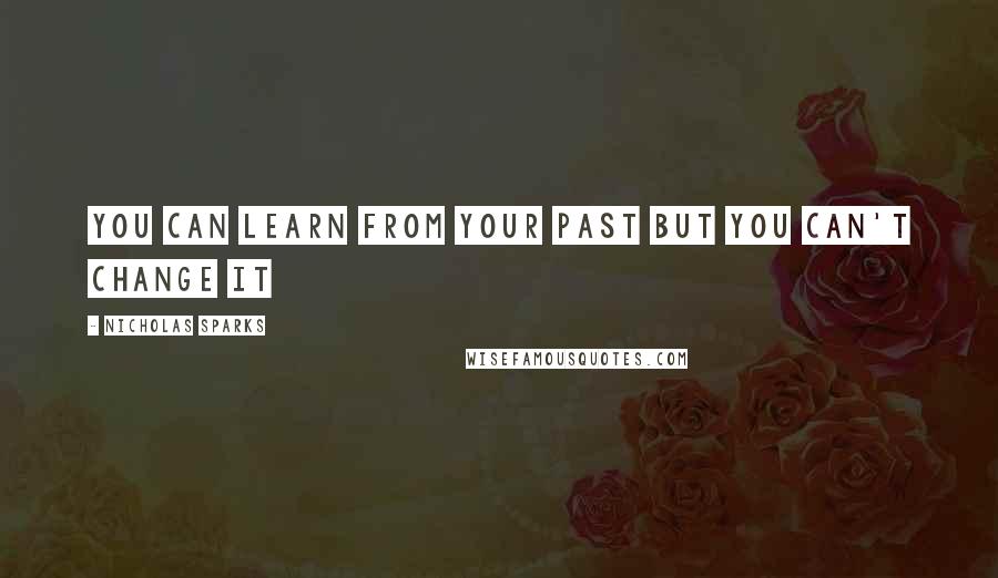 Nicholas Sparks Quotes: You can learn from your past but you can't change it