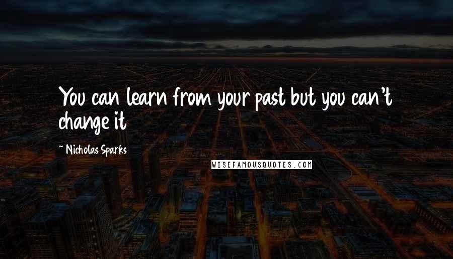 Nicholas Sparks Quotes: You can learn from your past but you can't change it