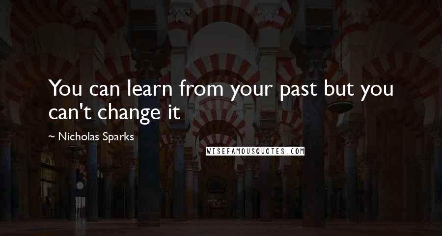 Nicholas Sparks Quotes: You can learn from your past but you can't change it