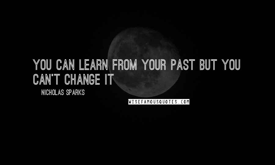 Nicholas Sparks Quotes: You can learn from your past but you can't change it