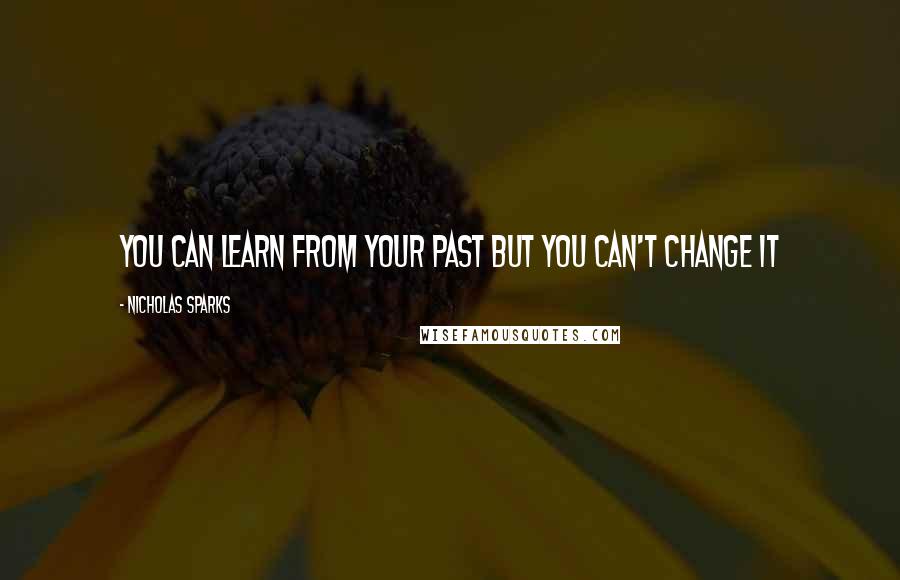 Nicholas Sparks Quotes: You can learn from your past but you can't change it