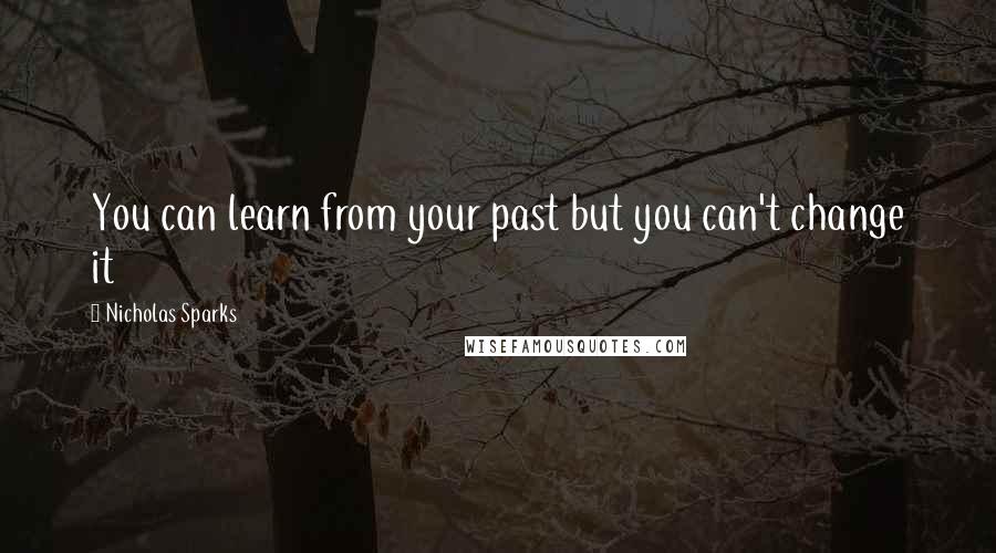 Nicholas Sparks Quotes: You can learn from your past but you can't change it