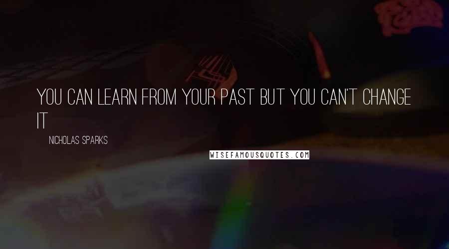 Nicholas Sparks Quotes: You can learn from your past but you can't change it