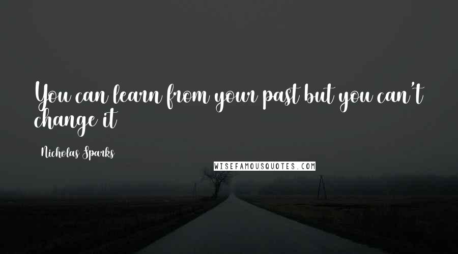 Nicholas Sparks Quotes: You can learn from your past but you can't change it