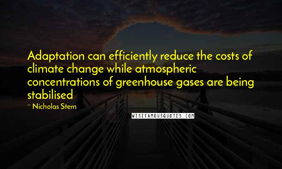 Nicholas Stern Quotes: Adaptation can efficiently reduce the costs of climate change while atmospheric concentrations of greenhouse gases are being stabilised