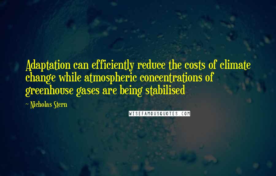 Nicholas Stern Quotes: Adaptation can efficiently reduce the costs of climate change while atmospheric concentrations of greenhouse gases are being stabilised