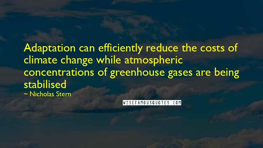Nicholas Stern Quotes: Adaptation can efficiently reduce the costs of climate change while atmospheric concentrations of greenhouse gases are being stabilised