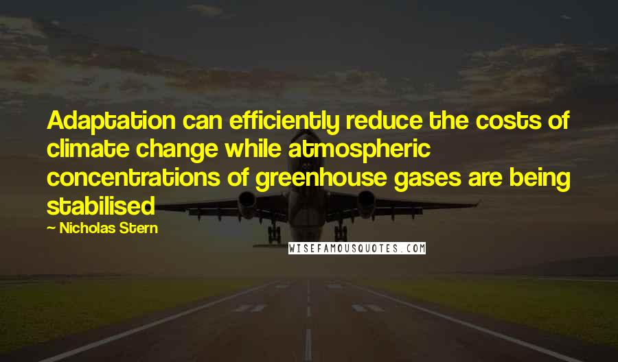 Nicholas Stern Quotes: Adaptation can efficiently reduce the costs of climate change while atmospheric concentrations of greenhouse gases are being stabilised