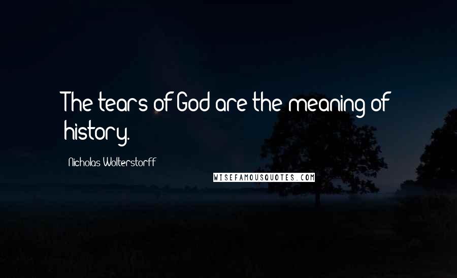 Nicholas Wolterstorff Quotes: The tears of God are the meaning of history.