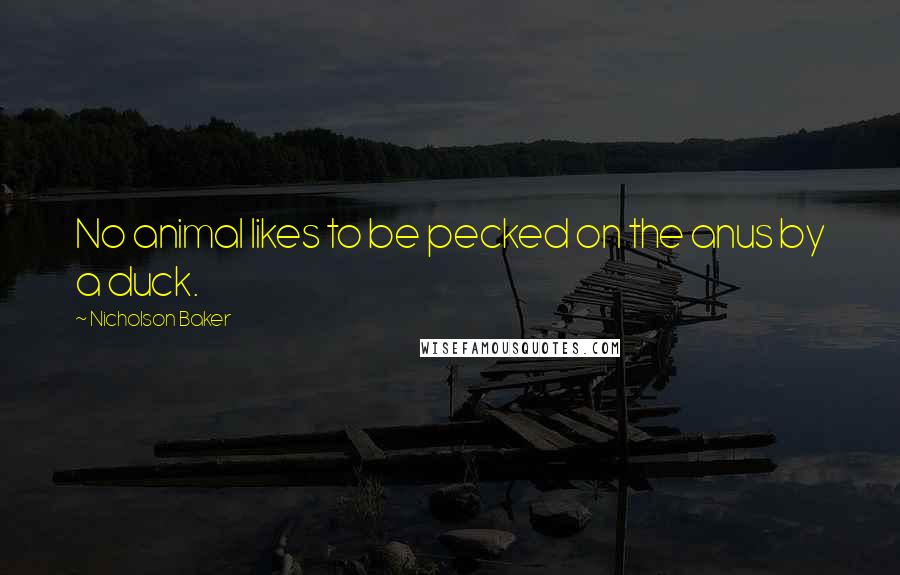 Nicholson Baker Quotes: No animal likes to be pecked on the anus by a duck.