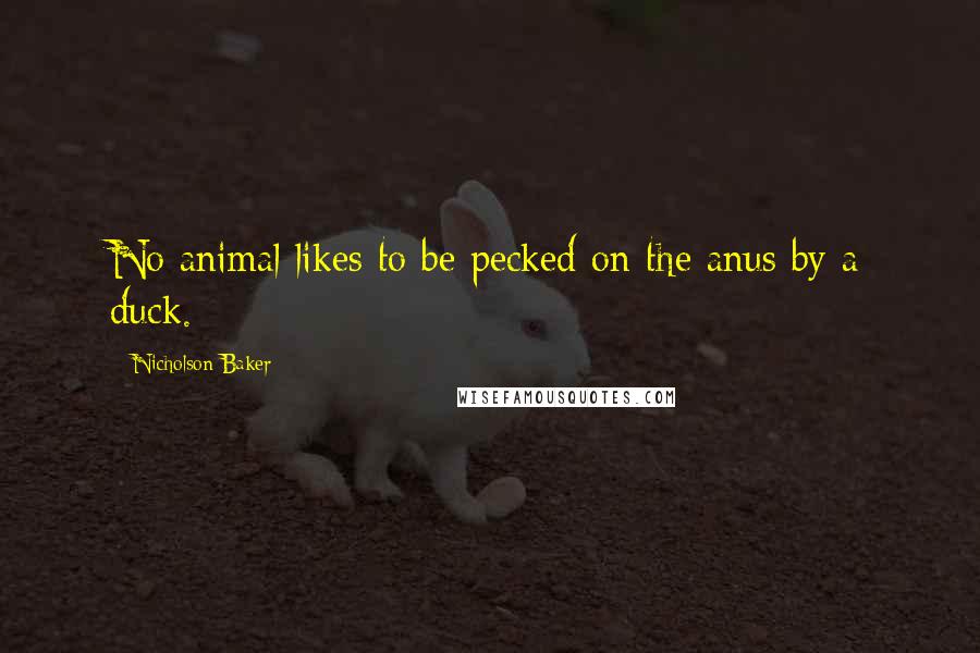 Nicholson Baker Quotes: No animal likes to be pecked on the anus by a duck.