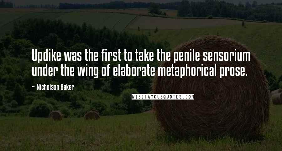 Nicholson Baker Quotes: Updike was the first to take the penile sensorium under the wing of elaborate metaphorical prose.