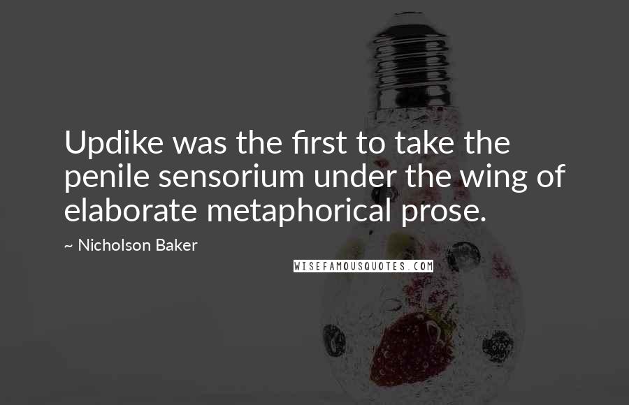 Nicholson Baker Quotes: Updike was the first to take the penile sensorium under the wing of elaborate metaphorical prose.