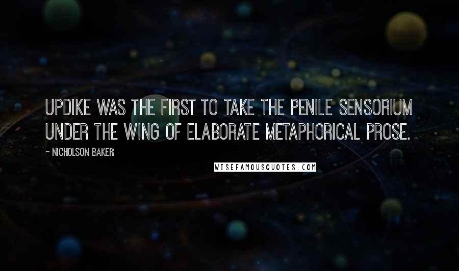 Nicholson Baker Quotes: Updike was the first to take the penile sensorium under the wing of elaborate metaphorical prose.