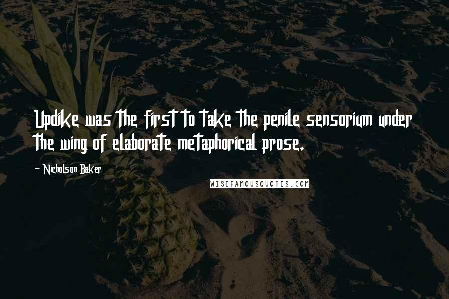 Nicholson Baker Quotes: Updike was the first to take the penile sensorium under the wing of elaborate metaphorical prose.