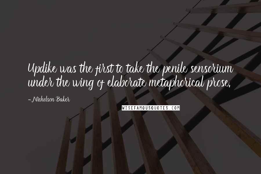 Nicholson Baker Quotes: Updike was the first to take the penile sensorium under the wing of elaborate metaphorical prose.