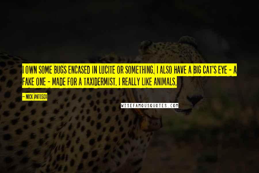 Nick Antosca Quotes: I own some bugs encased in lucite or something. I also have a big cat's eye - a fake one - made for a taxidermist. I really like animals.