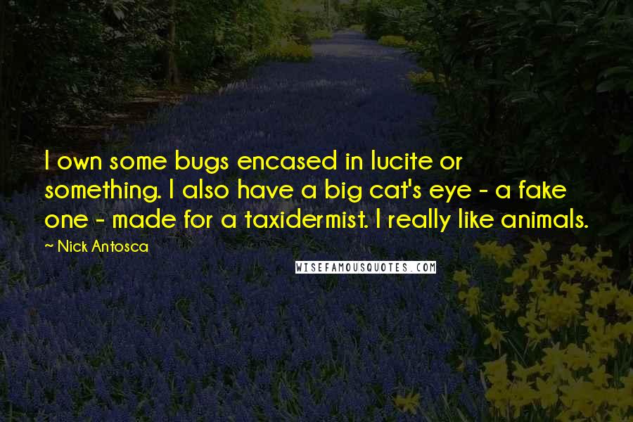 Nick Antosca Quotes: I own some bugs encased in lucite or something. I also have a big cat's eye - a fake one - made for a taxidermist. I really like animals.