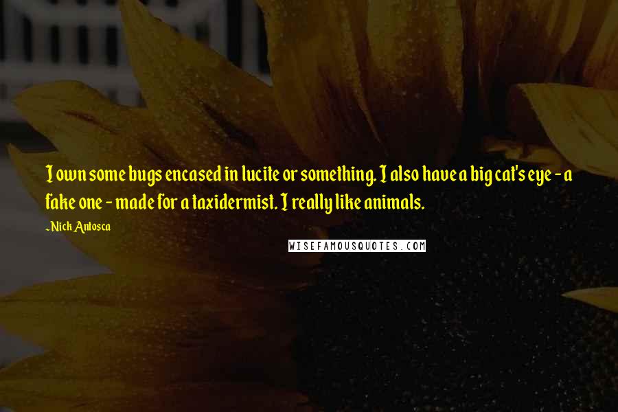 Nick Antosca Quotes: I own some bugs encased in lucite or something. I also have a big cat's eye - a fake one - made for a taxidermist. I really like animals.