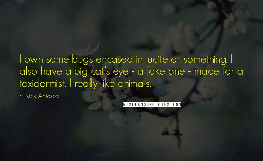 Nick Antosca Quotes: I own some bugs encased in lucite or something. I also have a big cat's eye - a fake one - made for a taxidermist. I really like animals.