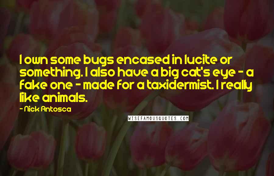 Nick Antosca Quotes: I own some bugs encased in lucite or something. I also have a big cat's eye - a fake one - made for a taxidermist. I really like animals.