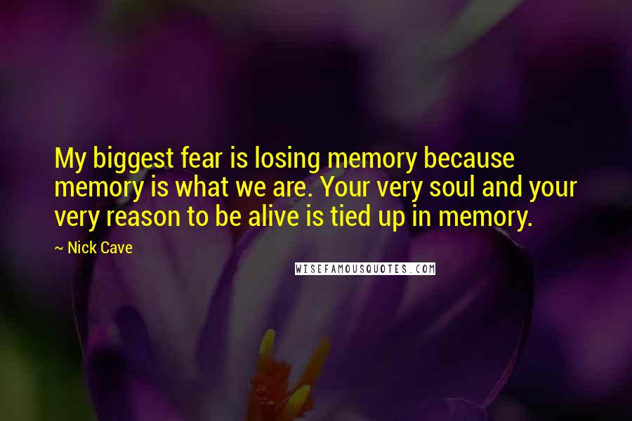 Nick Cave Quotes: My biggest fear is losing memory because memory is what we are. Your very soul and your very reason to be alive is tied up in memory.