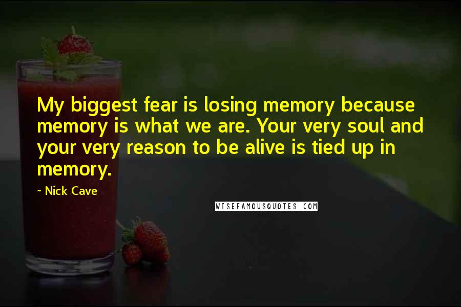 Nick Cave Quotes: My biggest fear is losing memory because memory is what we are. Your very soul and your very reason to be alive is tied up in memory.