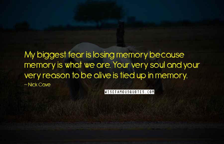 Nick Cave Quotes: My biggest fear is losing memory because memory is what we are. Your very soul and your very reason to be alive is tied up in memory.