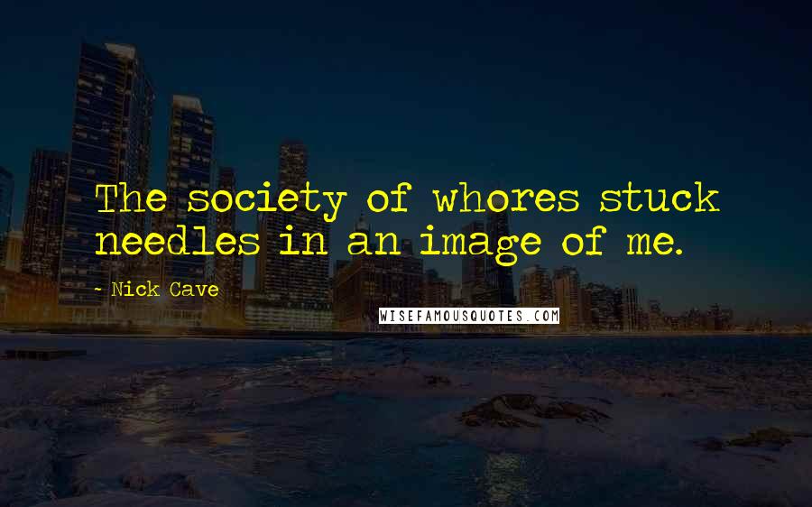 Nick Cave Quotes: The society of whores stuck needles in an image of me.