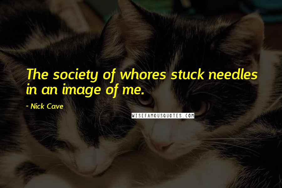 Nick Cave Quotes: The society of whores stuck needles in an image of me.