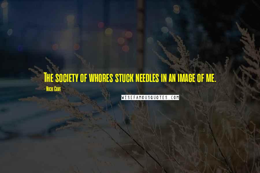 Nick Cave Quotes: The society of whores stuck needles in an image of me.